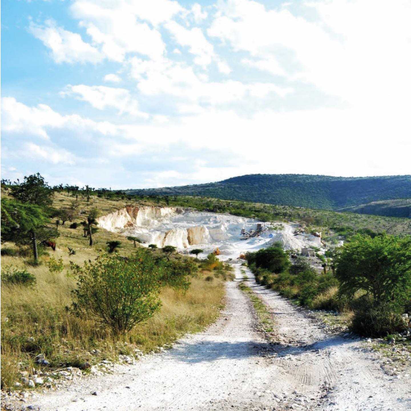 Yacimiento propio de zeolita en San Luis Potosí